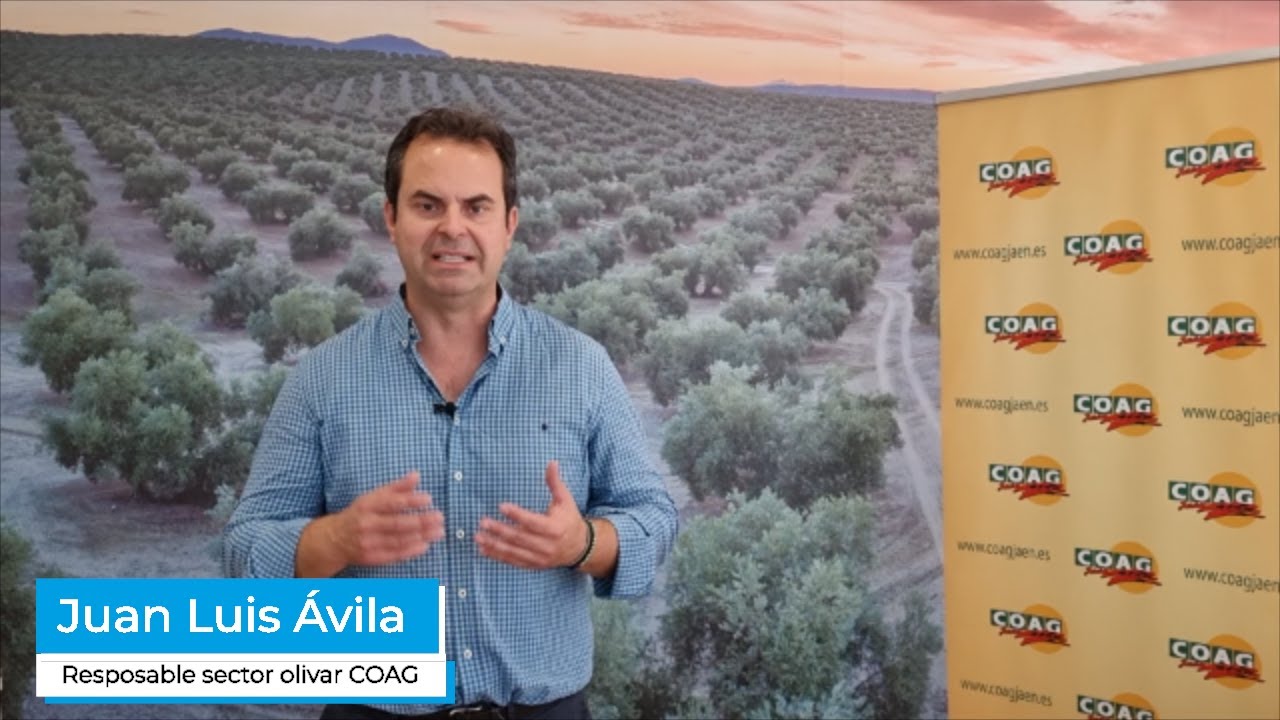 COAG denuncia la inacción del Ministerio para frenar la volatibilidad del precio del aceite de oliv