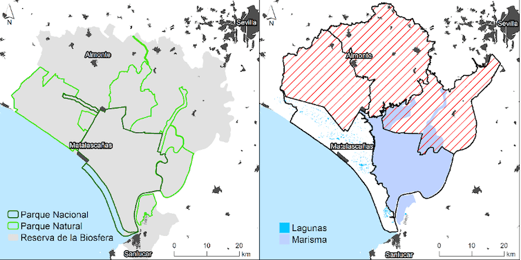 Mapa del Parque Nacional de Doñana mostrando las áreas con mayor deterioro de lagunas afectadas por anomalías distintas al clima (distancia a bombeos, extensión de cultivos, etc.).