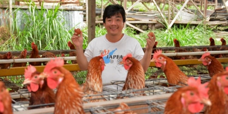 Bangbang Sutrisno, avicultor de Indonesia, participa en un programa de bioseguridad de la FAO. La organización de la ONU a cargo de la alimentación y la agricultura promueve una iniciativa para reducir el uso de antimicrobianos que inciden en la salud humana y animal, y en el ambiente. // Sadewa - FAO